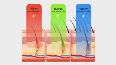 진피층 리프팅 콜라겐 생성